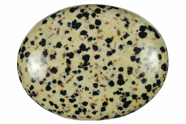 1.8" Polished Dalmatian Jasper Pocket Stone  - Photo 1